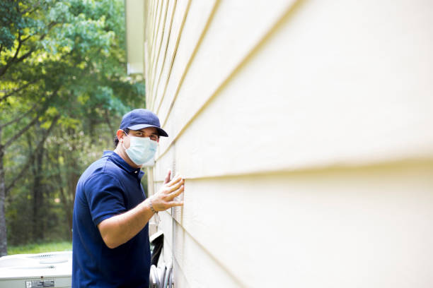 Best Custom Siding Design  in Canon, GA